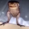 lostboydory